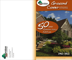 Ground - Thornton Landscape