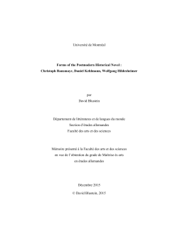 Magister draft_2 final - Papyrus