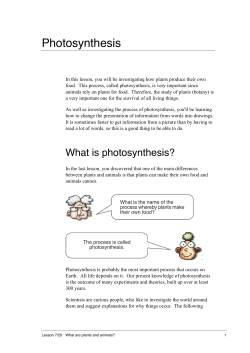 Photosynthesis - NSW Department of Education