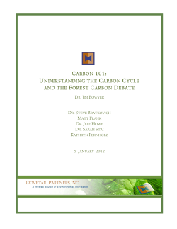 Carbon 101: Understanding the Carbon Cycle and