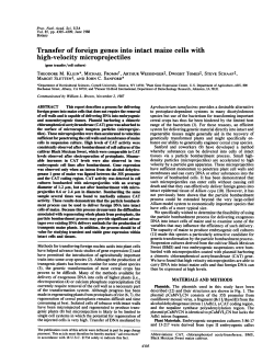 Monsanto shot it with a &ldquo;gene gun,&rdquo;