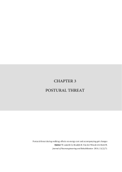 chapter 3 postural threat