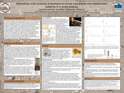(Limulus polyphemus) larvae abundance and distribution