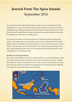 Spice Island Logbook