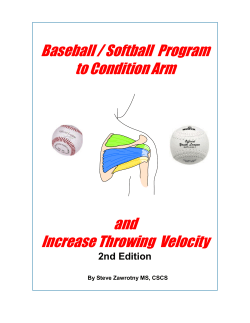 Baseball / Softball Program to Condition Arm