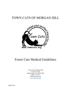 Town Cats Foster Care Medical Guidelines