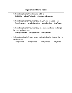Singular and Plural Nouns