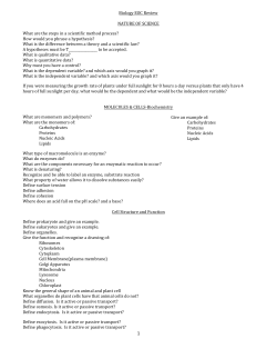 How would you phrase a hypothesis?
