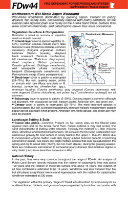 FDw44 Class Factsheet