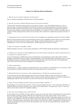Chapter 16: Molecular Basis of Inheritance - Biology E