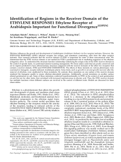 Identiication of Regions in the Receiver Domain