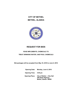 CITY OF BETHEL BETHEL, ALASKA