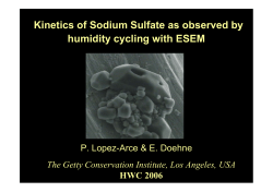 Kinetics of Sodium Sulfate as observed by humidity cycling with ESEM