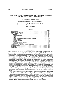 the comparative morphology of the axial skeleton in the australian