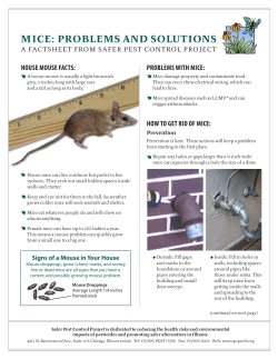 MICE: PROBLEMS AND SOLUTIONS