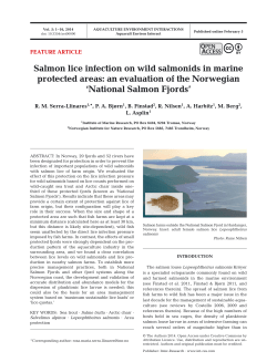 Salmon lice infection on wild salmonids in marine