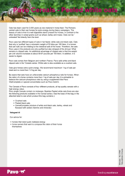 Pavo Cereals - Peeled white oats