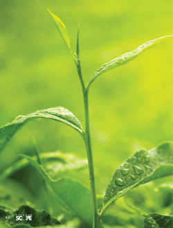 Food and Energy for All - National Science Teachers Association