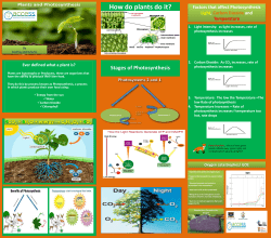 Poster: How does photosynthesis help make the planet