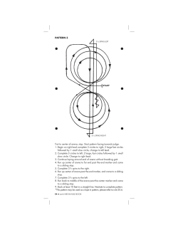 PATTERN 3 Trot to center of arena, stop. Start pattern