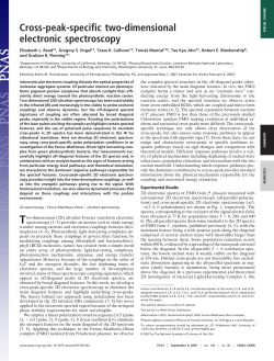 Cross-peak-specific two-dimensional electronic