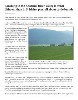 Kootenai River Valley