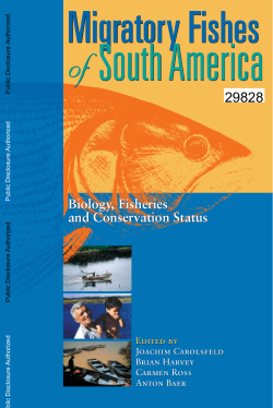 impacts on migratory species