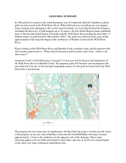 GOLD HILL SUMMARY In 1864 gold fever struck in the south