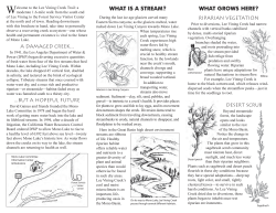 Lee Vining Creek Trail brochure.indd