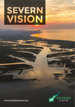 Printable PDF report