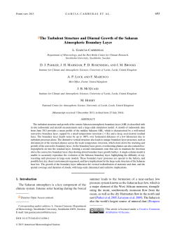 The Turbulent Structure and Diurnal Growth of the