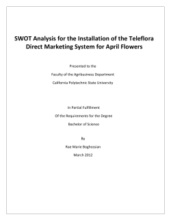 SWOT Analysis for the Installation of the Teleflora Direct Marketing