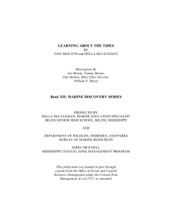 Learning About The Tides