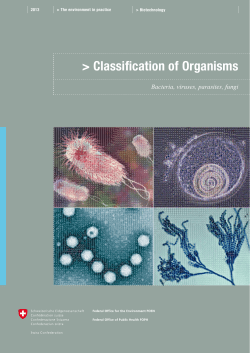 Classification of Organisms. Bacteria, viruses, parasites, fungi