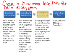 Description and Location Animals and Adaptations
