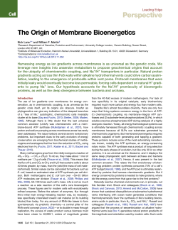 The Origin of Membrane Bioenergetics