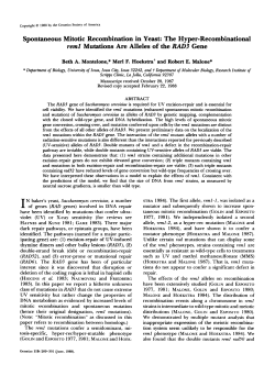 Spontaneous Mitotic Recombination in Yeast: The Hyper