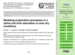 Modeling evaporation processes in a saline soil