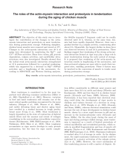 The roles of the actin-myosin interaction and