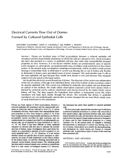 Electrical Currents Flow Out of Domes Formed by