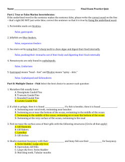 Final Practice Quiz Answers