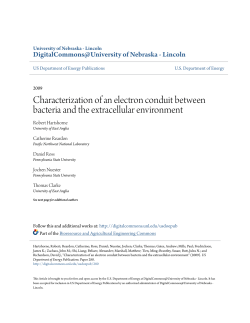Characterization of an electron conduit between bacteria and the