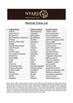 Mammal Check List - Nyaru Game Lodge