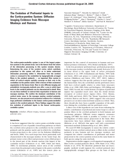 The Evolution of Prefrontal Inputs to the Cortico
