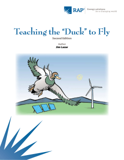 Teaching the "Duck" to Fly - Second Edition