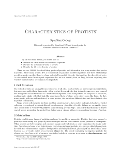 Characteristics of Protists