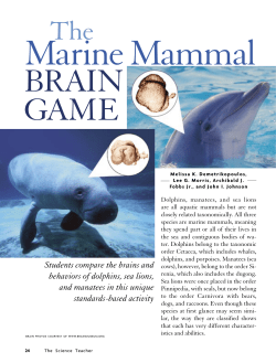 The Marine Mammal - National Science Teachers Association