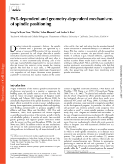 PAR-dependent and geometry-dependent mechanisms of spindle