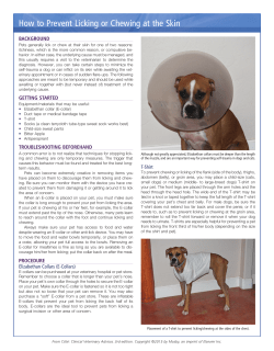 How to Prevent Licking or Chewing at the Skin