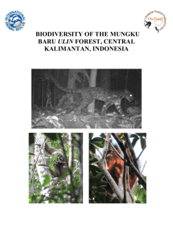 biodiversity of the mungku baru ulin forest, central kalimantan